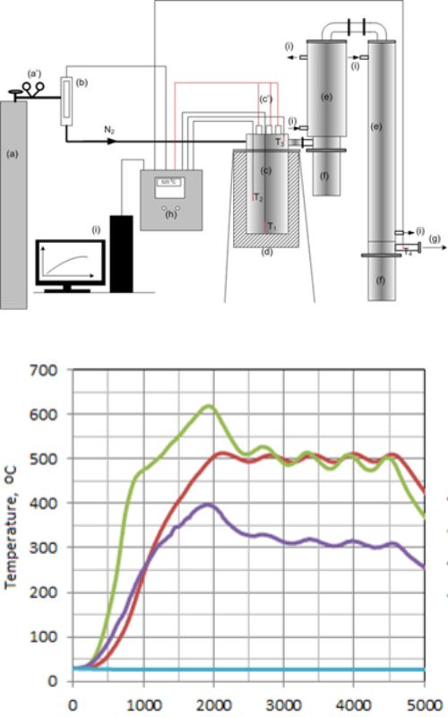 Graphical Abstract