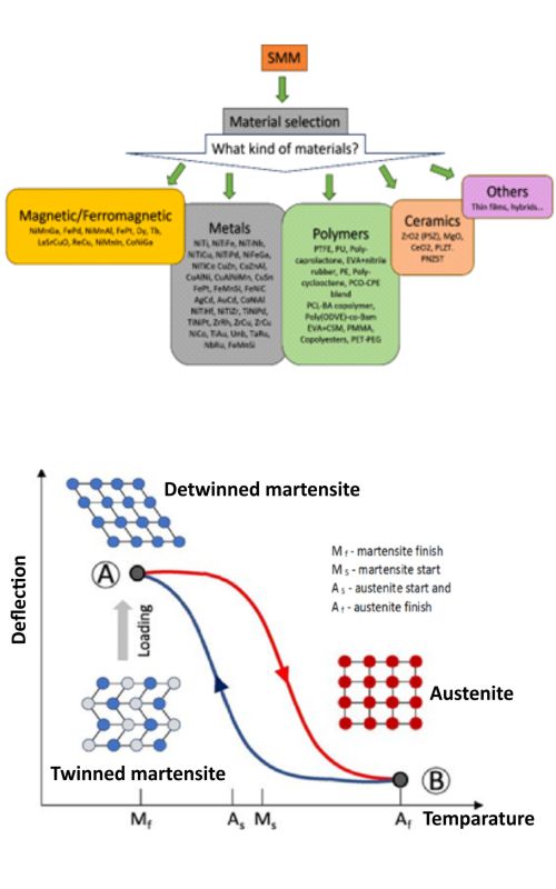 Graphical Abstract