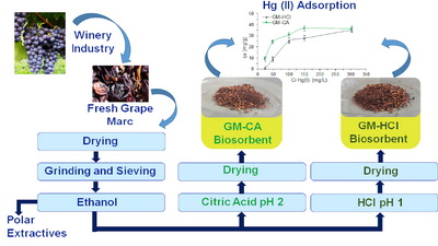 Graphical Abstract