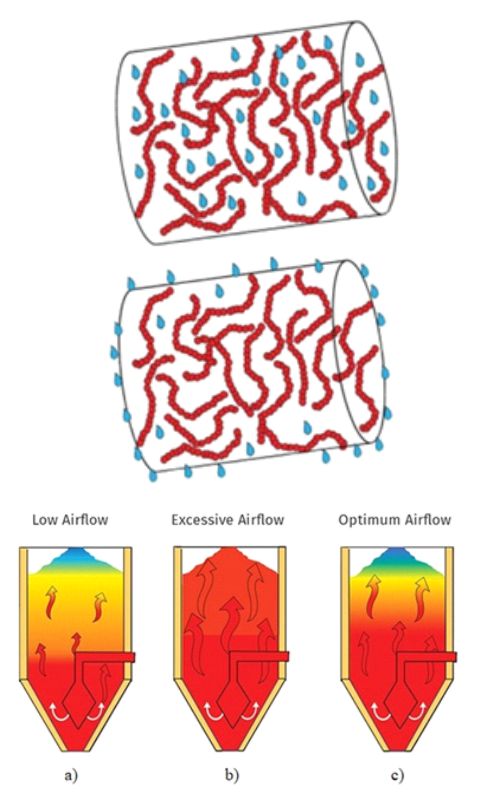 Graphical Abstract