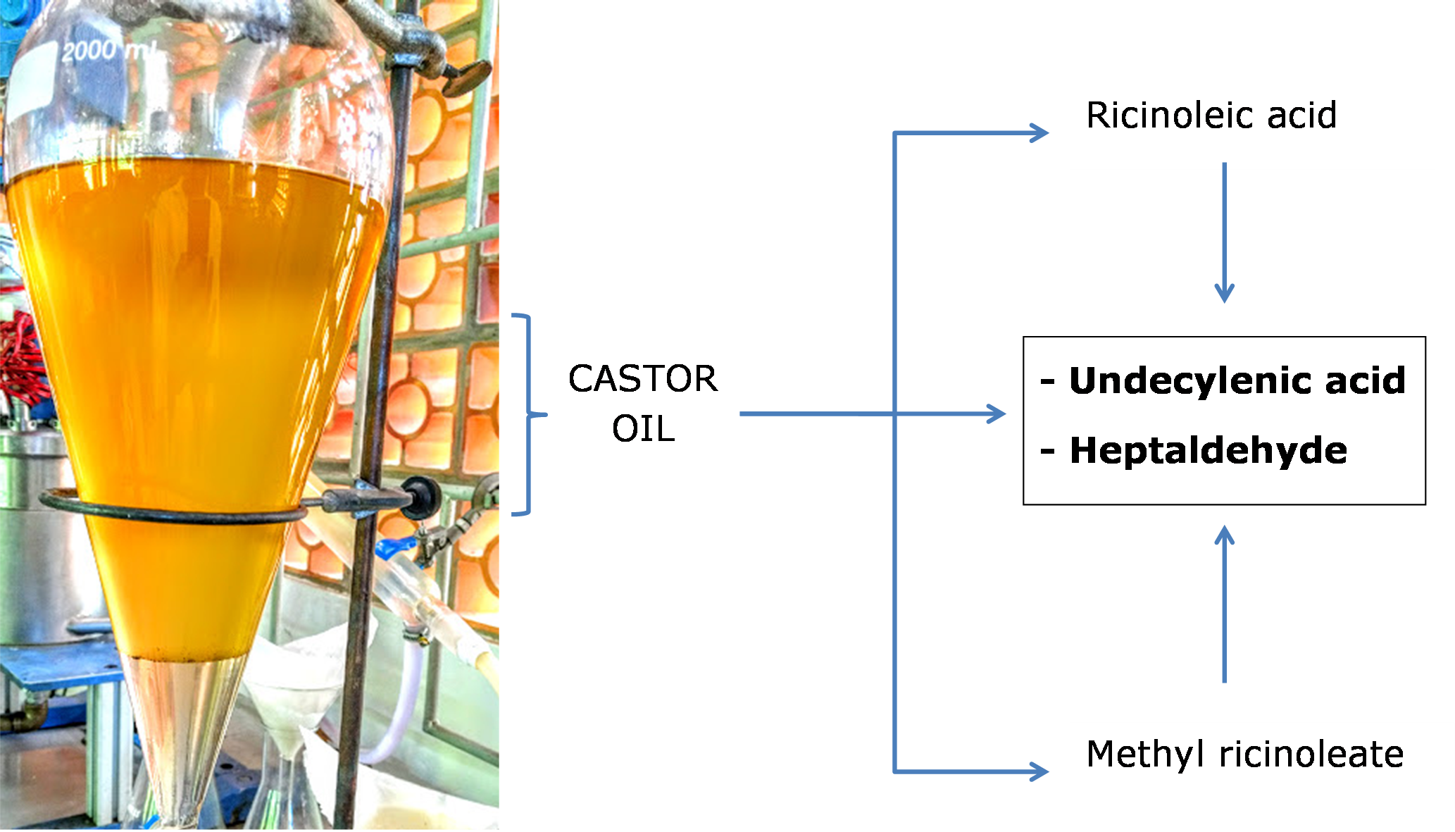 Graphical Abstract