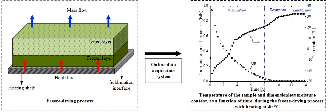 Graphical Abstract