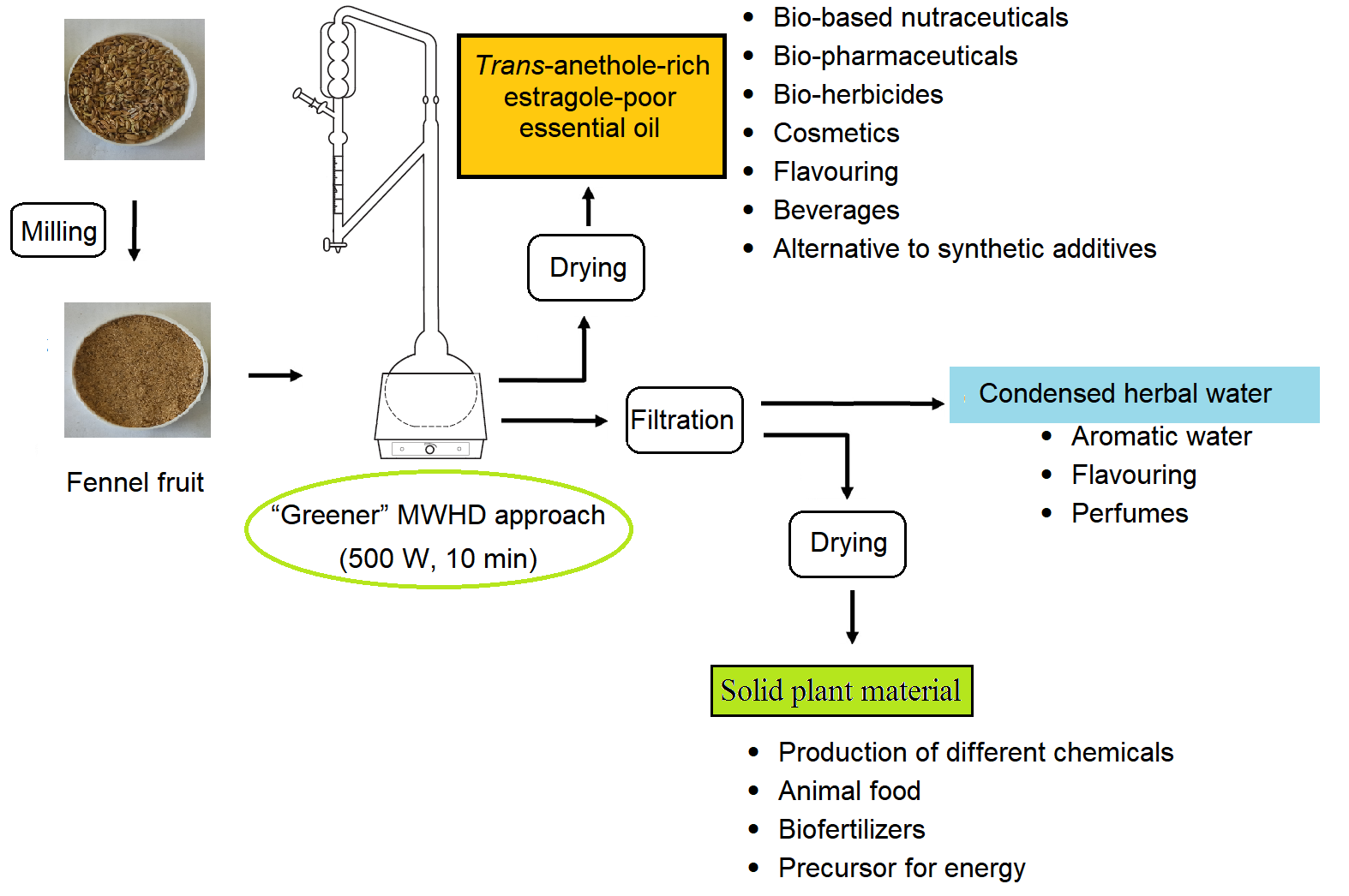 Graphical abstract